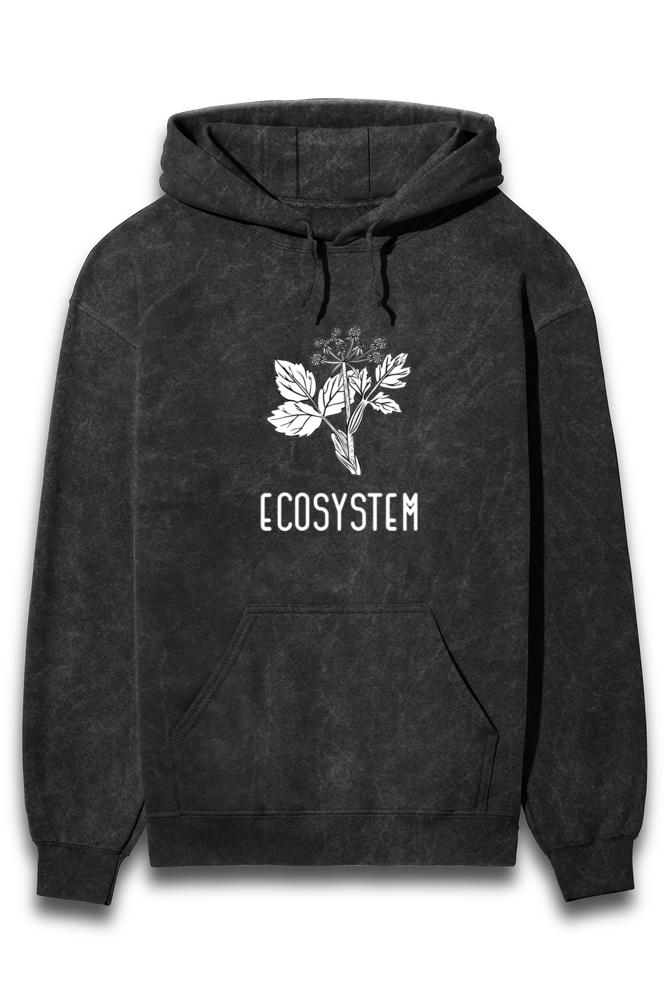 ECOSYSTEM HOODIE