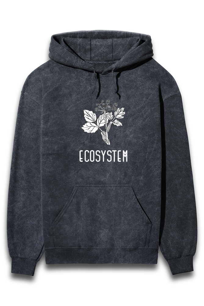 ECOSYSTEM HOODIE