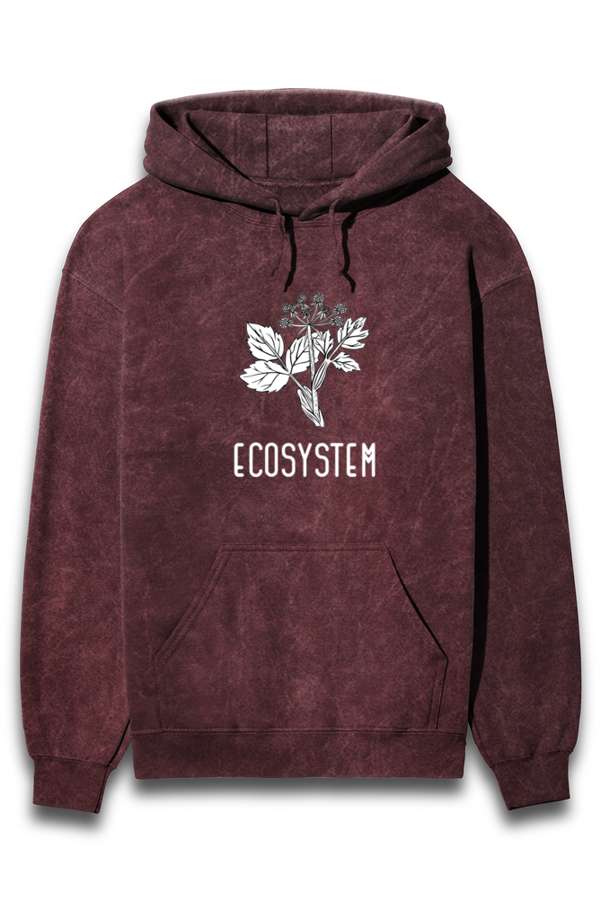 ECOSYSTEM HOODIE