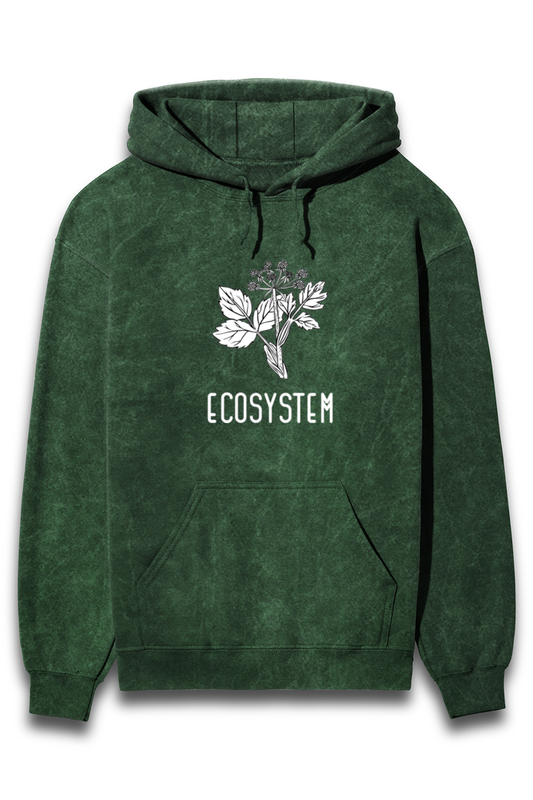 ECOSYSTEM HOODIE